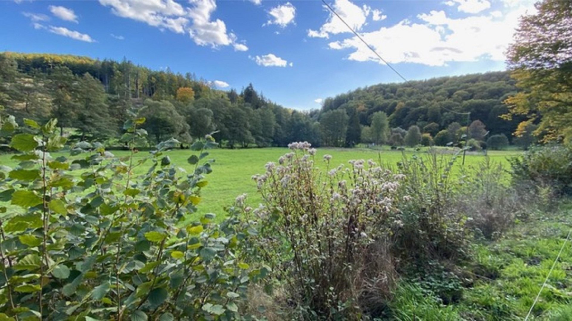 Das Aubachtal | &copy; Reiner Geisler