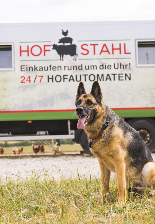 Hof Stahl Hund | &copy; Hof Stahl