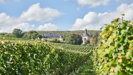 © Roman Knie, HA Hessen Tourismus © Roman Knie, HA Hessen Tourismus