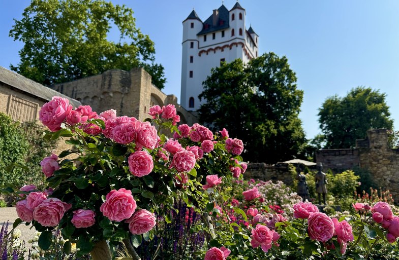 Standesamt in der Kurfürstlichen Burg | © Stadt Eltville Standesamt in der Kurfürstlichen Burg | © Stadt Eltville