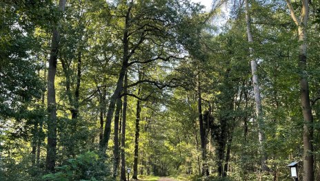 &copy; Tourist-Information Remagen, Romantischer Rhein Tourismus GmbH
