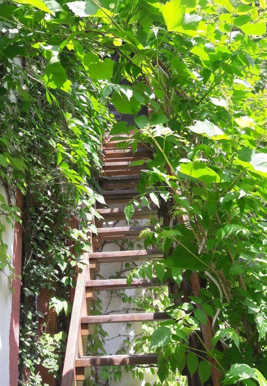 Schloss Martinsburg Innenhof | &copy; Harald Romberg