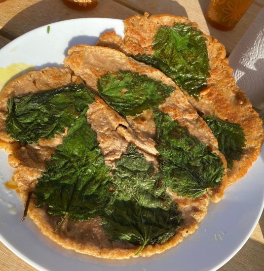 &copy; Angelika H&ouml;lz