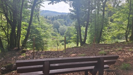 Niederbachtalblick | &copy; T. Biersch