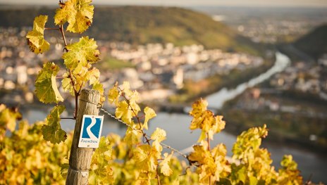 Rheinsteig Logo | © Marco Rothbrust, Mittelrhein Rheinsteig Logo | © Marco Rothbrust, Mittelrhein