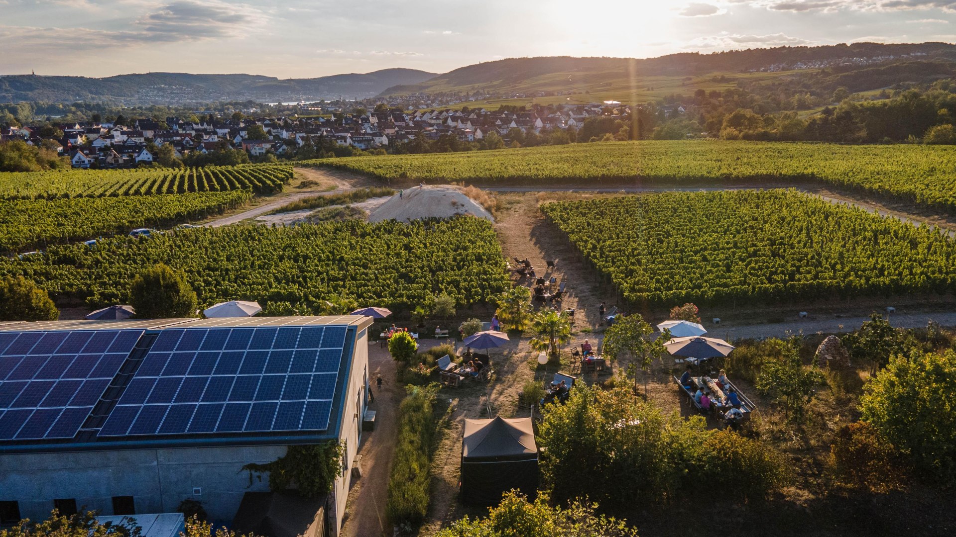 Weingut Dillmann - Foto by Ida Nikodemus | &copy; Ida Nikodemus