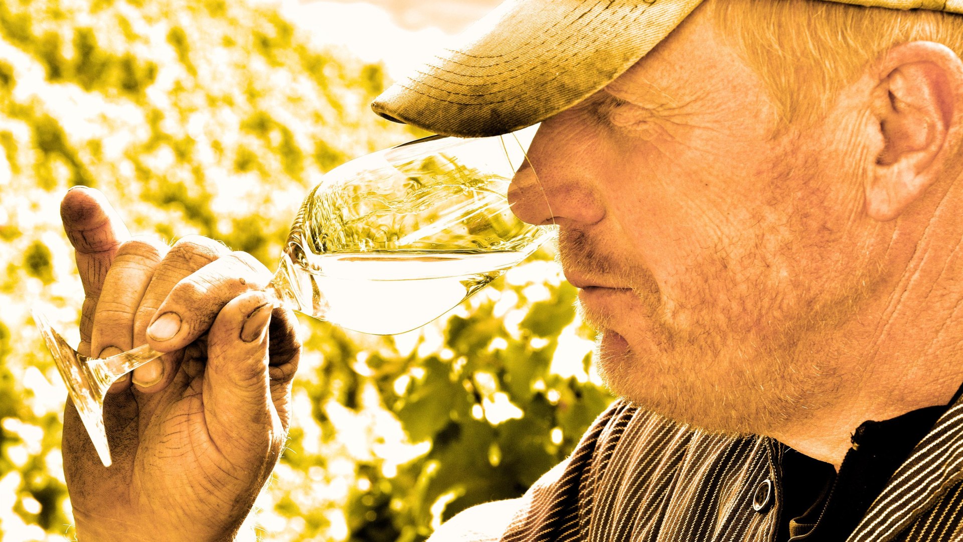 DSC_0507-1 | © Fam.Lorenz DSC_0507-1 | © Fam.Lorenz