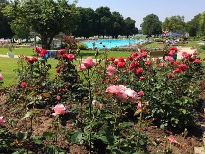 Freibad Eltville | © Freibad Eltville am Rhein Freibad Eltville | © Freibad Eltville am Rhein