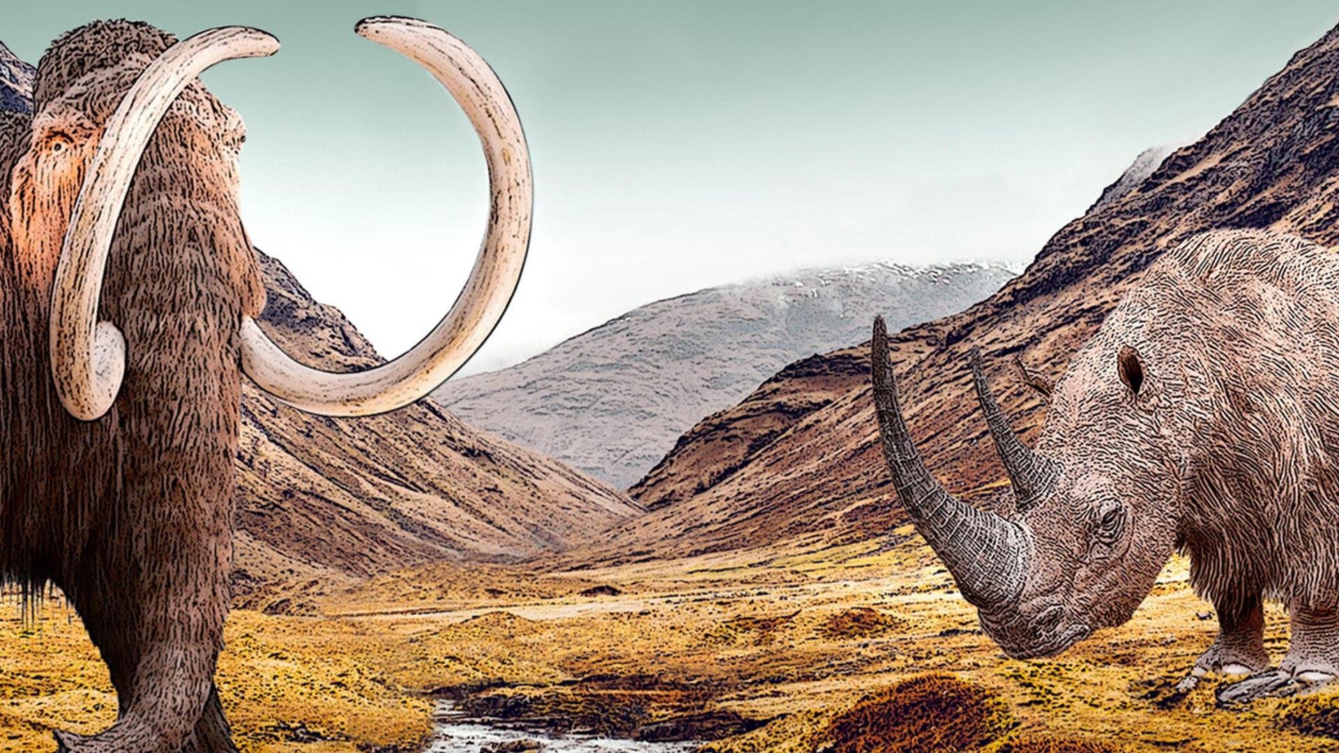 Mammut und Wollnashorn in Mammutsteppe_Comicstyle | © LEIZA/N. Viehöver Mammut und Wollnashorn in Mammutsteppe_Comicstyle | © LEIZA/N. Viehöver