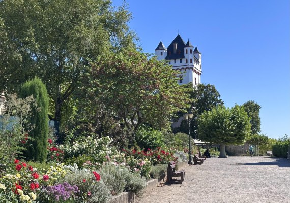 Stadt Eltville am Rhein | &copy; Stadt Eltville am Rhein