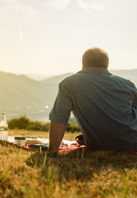 Picknick