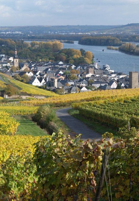 Ruedesheim river Rhine