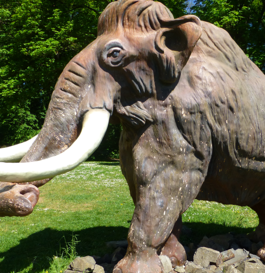 Mammut | &copy; LEIZA/A.-L.Rosenthal