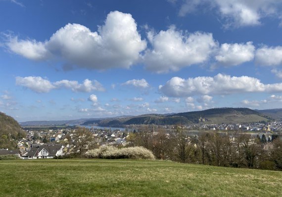 Fichtelwiese | © Tourist-Information Bad Breisig Fichtelwiese | © Tourist-Information Bad Breisig