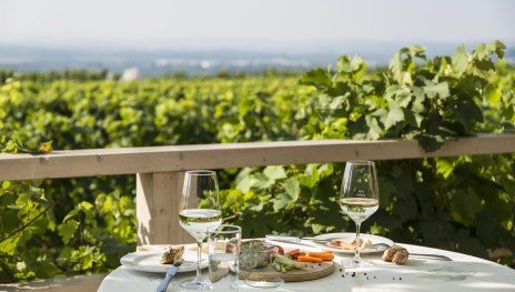 Terrasse Weingut Goldatzel | &copy; Weingut Goldatzel