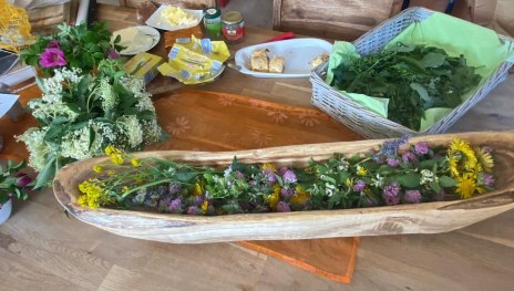 Rosen | © Angelika Hölz Rosen | © Angelika Hölz