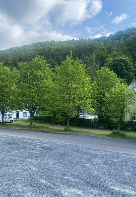 Womo Stellplatz 4 | &copy; Stadtverwaltung Bendorf