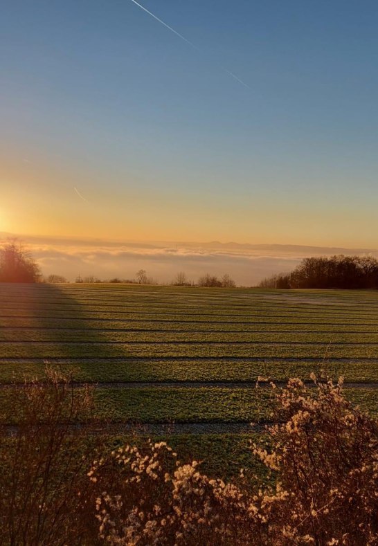 Sonnenuntergang auf der Loh | &copy; Ursula Reif