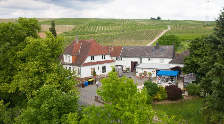 Weingut Jonas Vogelperpesktive | © Silvia Jonas Weingut Jonas Vogelperpesktive | © Silvia Jonas
