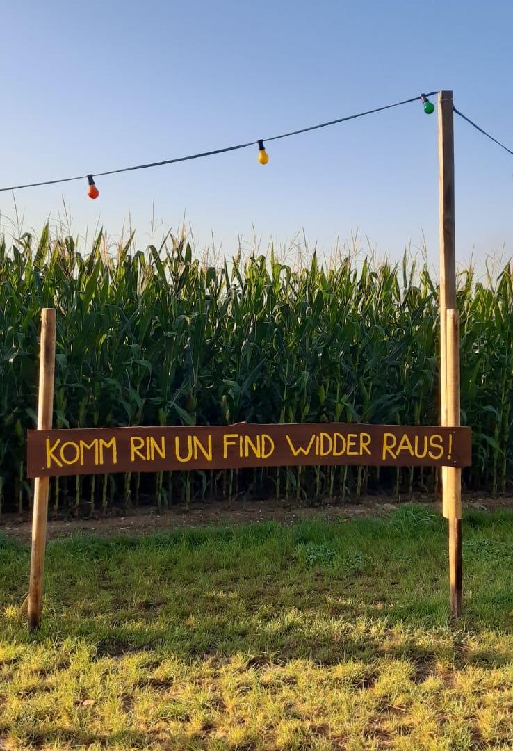Maislabyrinth 1 | &copy; Mareike Heckel