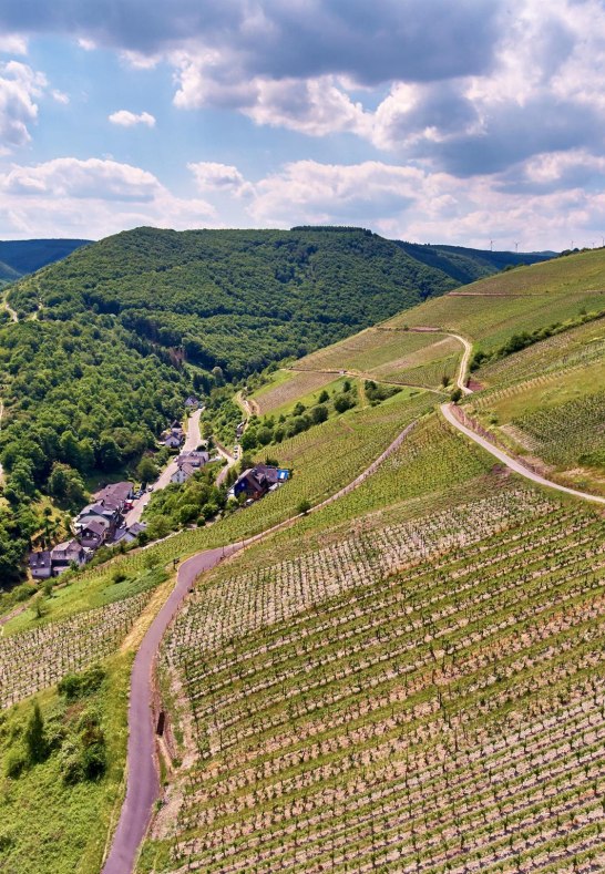 Engehoeller_Goldemund_Oberwesel_Lanius-Knab_Weinpr | &copy; Lanius-Knab