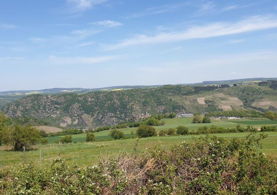 Sch&ouml;nburgblick 2 | &copy; Tourist-Information Oberwesel
