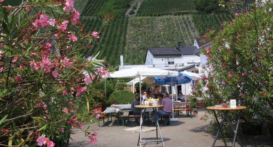 Winzerhof | &copy; Weingut Hugemann