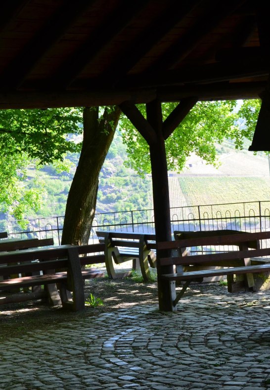Sauzahn 3 | &copy; Tourist-Information Oberwesel