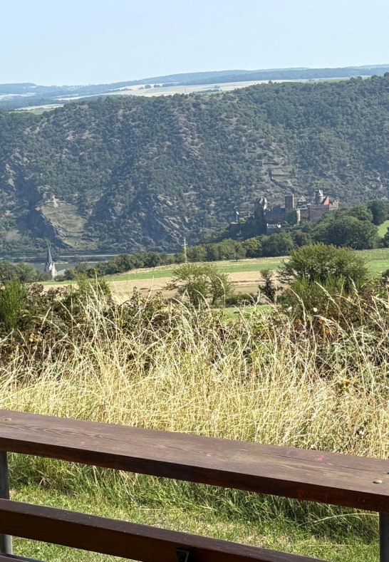 9 Fewo - Blick vom Ortsrand von Oberwesel-Dellhofe | &copy; Fam. Hartel Dellhofen