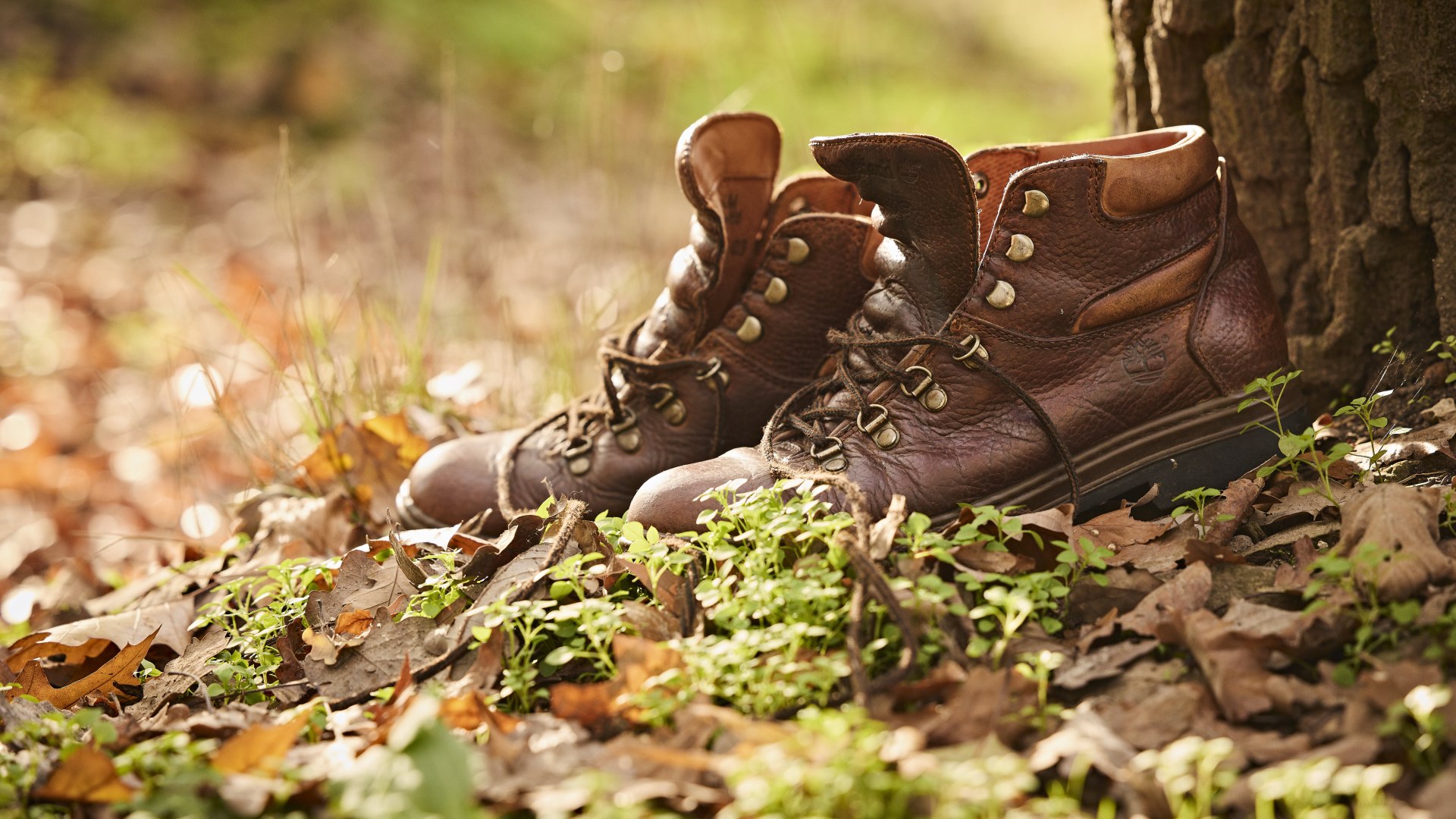 Wanderschuhe | © Marco Rothbrust CC BY 4.0 Wanderschuhe | © Marco Rothbrust CC BY 4.0