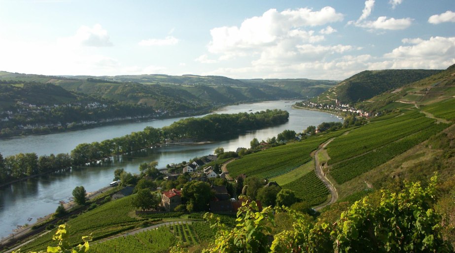 Rhein bei Lorch | © Weingut Laquai Rhein bei Lorch | © Weingut Laquai