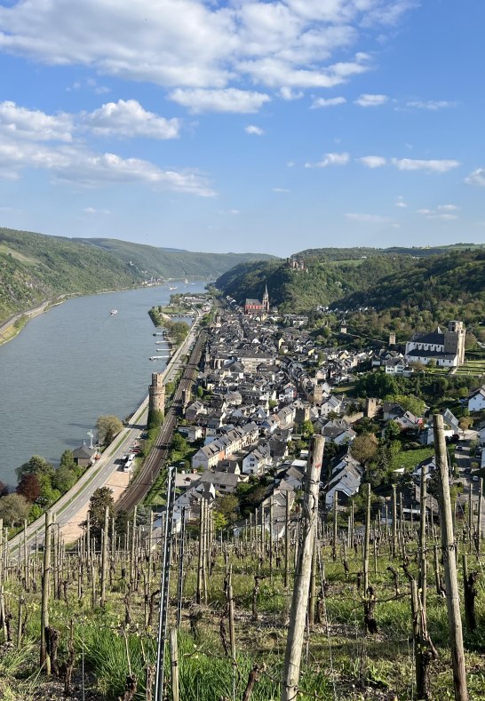 10 Fewo - Blick auf die Stadt Oberwesel | &copy; Fam. Hartel, Dellhofen
