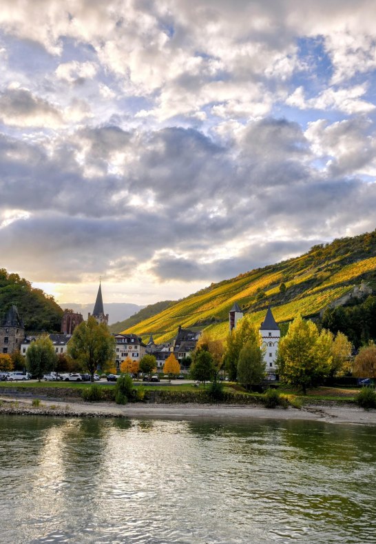 Bacharach en automne &ndash; vue sur le Rhin & vignobles | &copy; Moock
