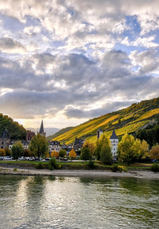 Bacharach im Herbst &ndash; Rheinblick & Weinberge | &copy; Moock