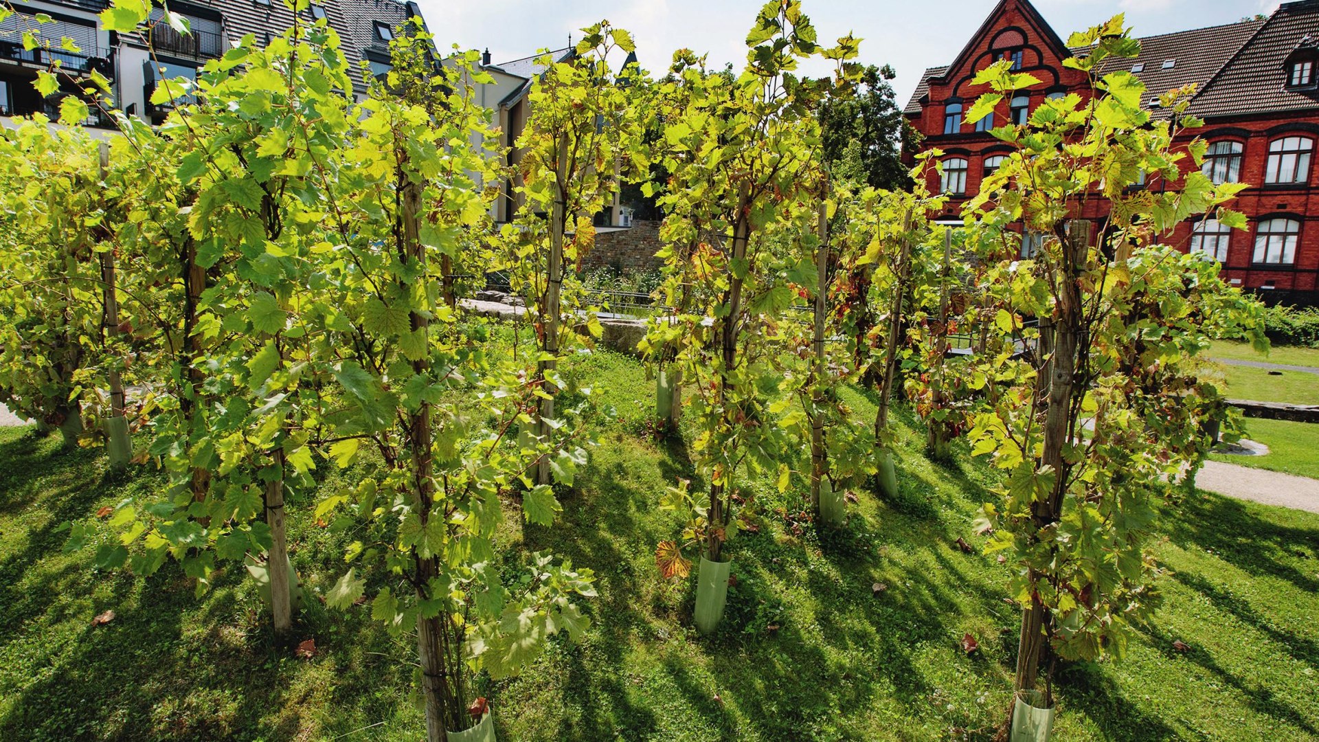 Historischer Garten 01 | &copy; Petra Steinbacher / Stadtberatung Dr. Fries