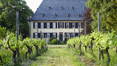 Weingut Baron Knyphausen | © Weingut Baron Knyphausen