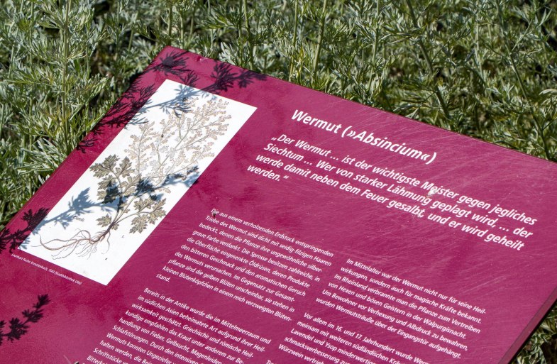 Hildegarten am Msuem am Strom | &copy; Rheinhessen-Touristik