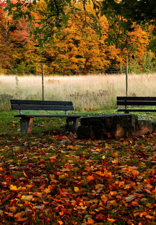 Herbst am Remstecken | © Johannes Bruchhof Herbst am Remstecken | © Johannes Bruchhof
