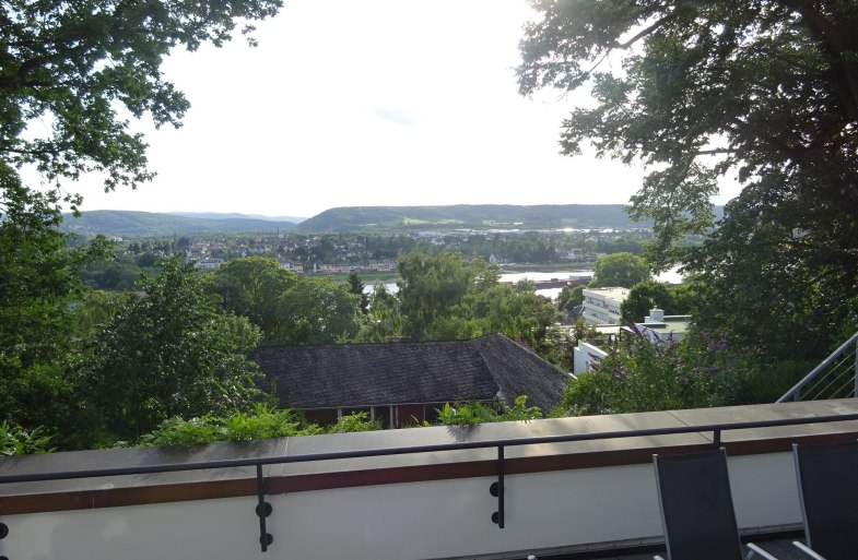 Rheinblick | &copy; Christoph Hein