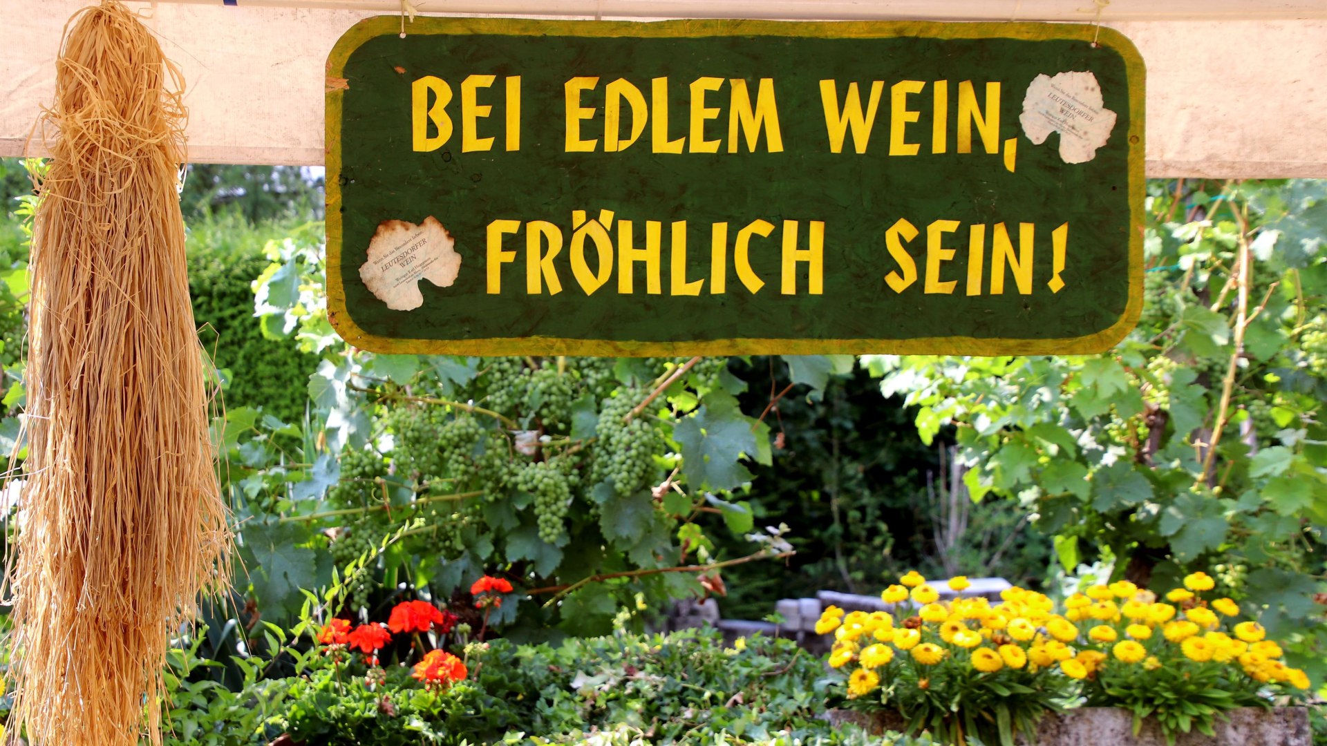 Weingut Hugemann | &copy; Weingut Hugemann