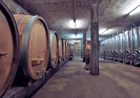 Weinfässer Bibo Runge | © Weingut BIBO RUNGE Weinfässer Bibo Runge | © Weingut BIBO RUNGE