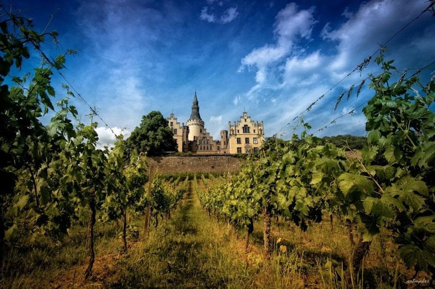 image | &copy; Schloss Arenfels