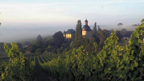 Schloss Vollrads | © Romantischer Rhein Tourismus GmbH