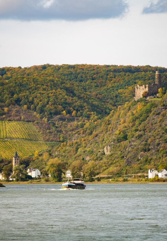 St. Goarshausen-Wellmich mit Burg Maus | &copy; Henry Tornow