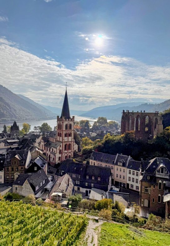 Bacharach Panorama &ndash; Weinberge & Altstadtblick | &copy; Moock