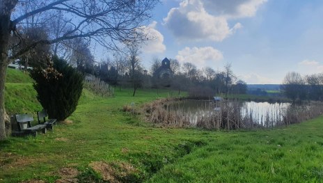 Teich am Simmerbach | &copy; T. Biersch