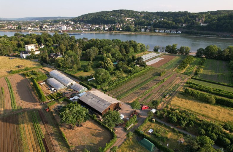 1 | &copy; Katringer Gr&uuml;nzeug eG