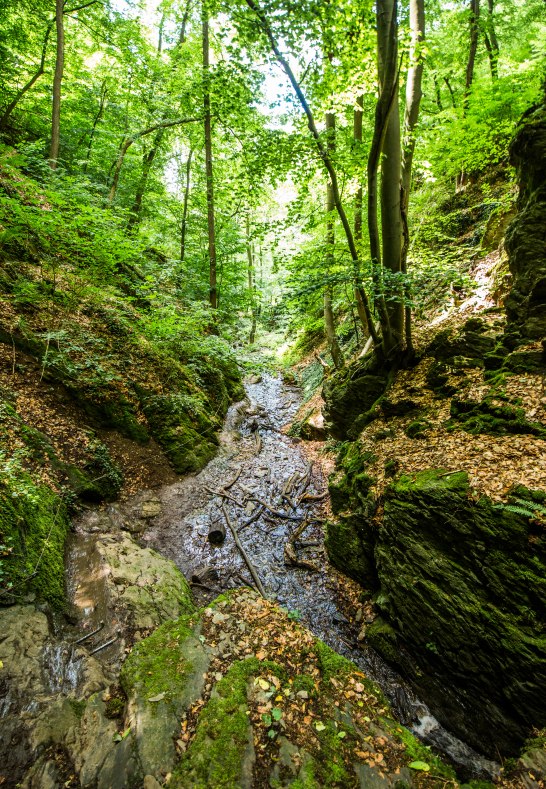 Ruppertsklamm | © Henry Tornow Ruppertsklamm | © Henry Tornow