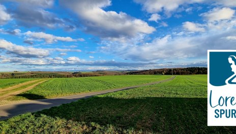 &copy; Ulrike Dallmann, Loreley Touristik