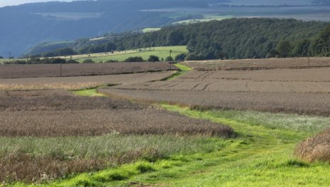 &copy; Martin Kubat, Romantischer Rhein Tourismus GmbH